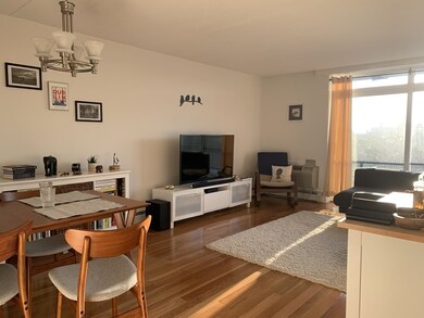 345 Harvard St unit 5A, Cambridge, MA 02138 - photo 2