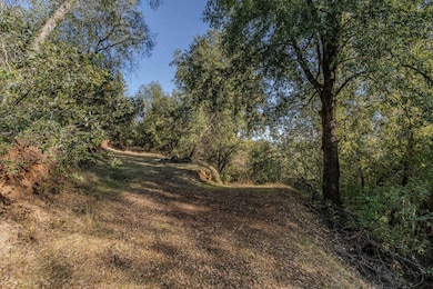 14238 Sutter Highlands Dr, Sutter Creek, CA 95685 - photo 6