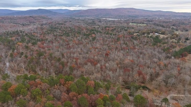 Hallelujah Ln, Mena, AR 71953 - photo 6