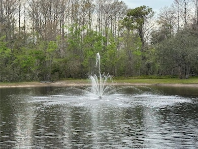 12155 Environmental Dr unit 6, New Port Richey, FL 34654 - photo 5