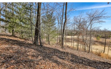 161 Old Toccoa Farm, Mineral Bluff, GA 30559 - photo 5