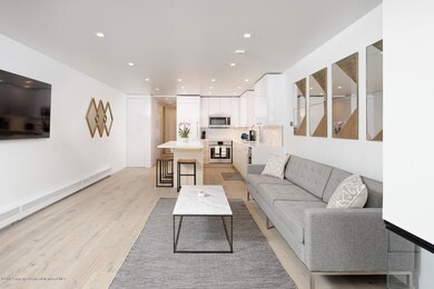 210 E Cooper Ave Aspen CO-large-003-4-21