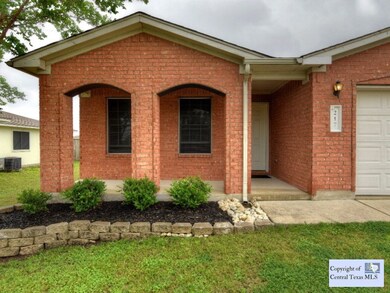 217 Spring Branch Dr, Kyle, TX 78640 - photo 5