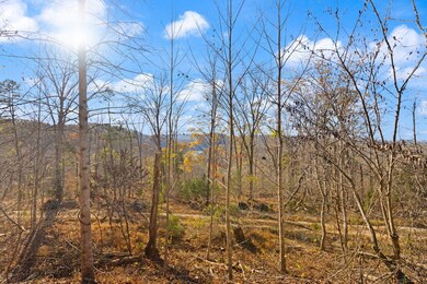 65 Maple Dr, Burnside, KY 42519 - photo 6