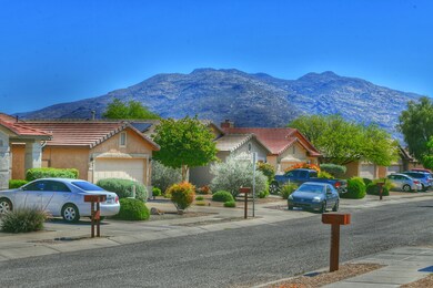 DSC_5612-01