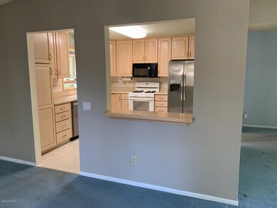 Kitchen View 2