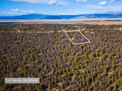 1720 Middle Fork Vista, Fairplay, CO 80440 - photo 2