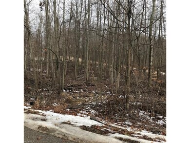 0 Kingsway Ct unit 175 & 176 3970063, Howard, OH 43028 - photo 4