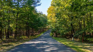 0 Rushing Water Trail unit 1520903, Rising Fawn, GA 30738 - photo 6