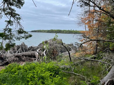 IMG_5595