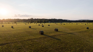 309 Gilliam Rd, Gurley, AL 35748 - photo 5