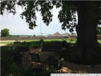 VIEW OF LOT FROM UNDER LIVE OAK TREE