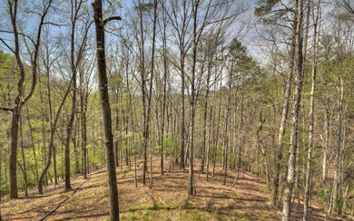 Additional View