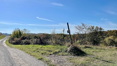 0 Rabbit Goins Ln, Malta Township, OH 43758 - photo 3
