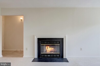 14913 Mckisson Ct unit 6AF, Silver Spring, MD 20906 - photo 7