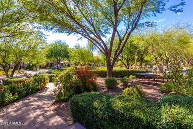 Front Yard Landscape
