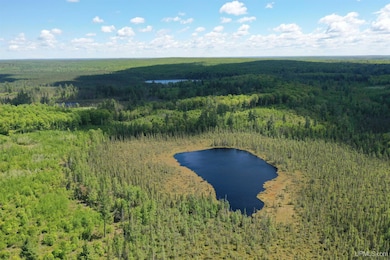 527 Usfs Rd 2130 Rd, Iron River, MI 49935 - photo 7