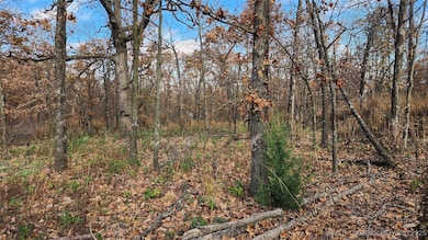 427640 E 290 Rd, Chelsea, OK 74016 - photo 4