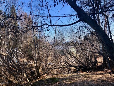 Mountains behind the alder!