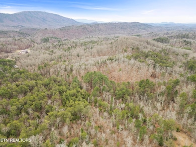 3940 Allegheny Loop Rd, Maryville, TN 37803 - photo 6