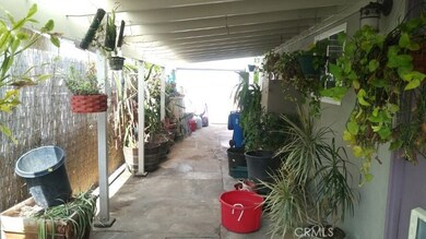 Side Yard looking in