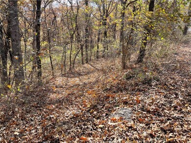 10013 Bunyard Rd, Winslow, AR 72959 - photo 3