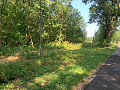 0 Sandridge Rd, Sawyer, MI 49125 - photo 2