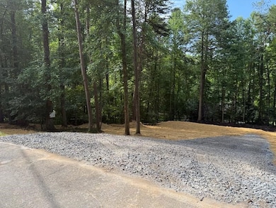 LOT 195 Shenendoa Dr, Ellijay, GA 30540 - photo 3