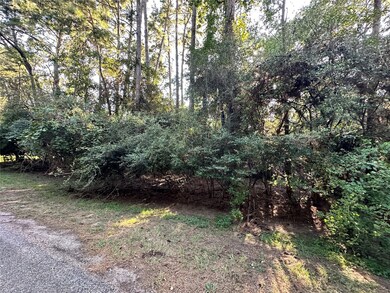 00 Mcdaniel Dr, Magnolia, TX 77354 - photo 6