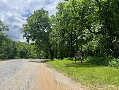 000 Boiling Springs Rd, Licking, MO 65542 - photo 7