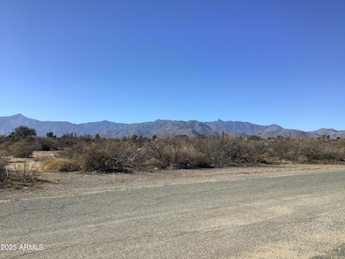 801 E Railroad St, Bowie, AZ 85605 - photo 5