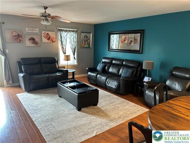 359 W 2nd St, Alburtis, PA 18011 - photo 6