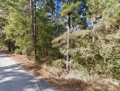 25 Sycamore Dr unit Huntsville TX 77320, Huntsville, TX 77320 - photo 3