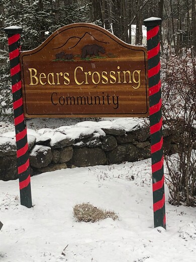 9C Polar Bear N, Dover, VT 05356 - photo 4