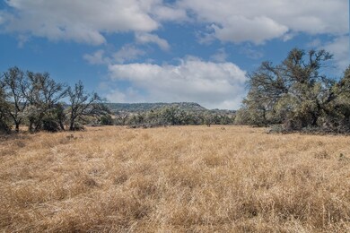 2 E Lower Crabapple Rd unit 2, Fredericksburg, TX 78624 - photo 4