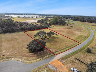 38538 Wooded Meadow Dr, Umatilla, FL 32784 - photo 6