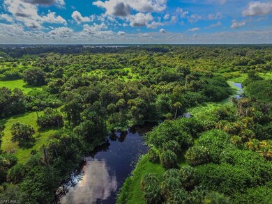 18951 S River Rd, Alva, FL 33920 - photo 6