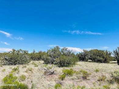 2074 W Critter Pass, Williams, AZ 86046 - photo 4