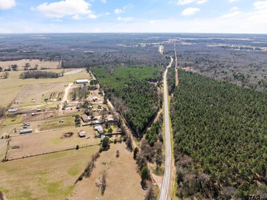 Lot 4 Fm 556, Pittsburg, TX 75686 - photo 7