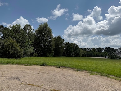 0 Bellewood Park, Columbia, MS 39429 - photo 3