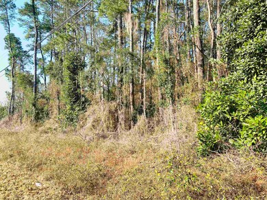 1739 Colonial St unit Colonial Estates, Georgetown, SC 29440 - photo 2