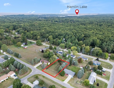VL W Roosevelt Rd, Hamlin Township, MI 49431 - photo 2