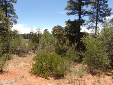 4750 S Manzanita Way, Show Low, AZ 85901 - photo 3