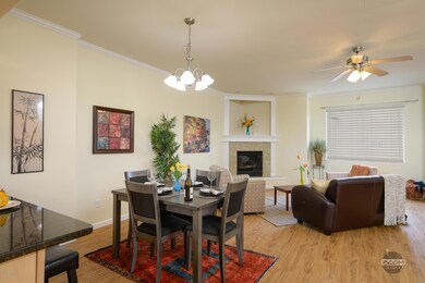Dining/Living
