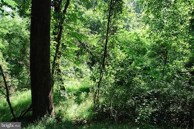 Lot 31A Dawn Ln, Shannondale, WV 25425 - photo 7