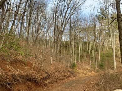 Lot 8 Ivy Log Dr, Murphy, NC 28906 - photo 3