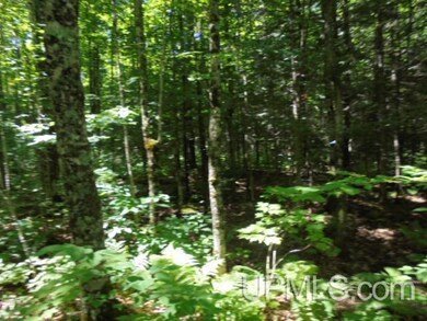 TBD E Shore Rd, Bergland, MI 49910 - photo 4