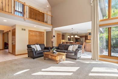 2005 Mustang Dr, Naperville, IL 60565 - photo 6