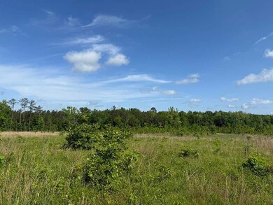 1331 Coal Bluff Rd, Lena, MS 39094 - photo 4