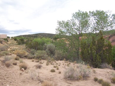 8 Martin Rd, Placitas, NM 87043 - photo 3